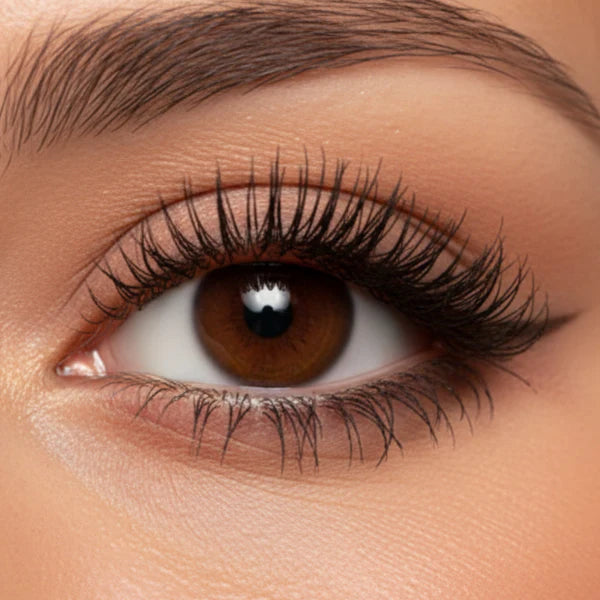 Soft Magnetic Eyelashes